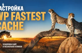 Настройка wp fastest cache